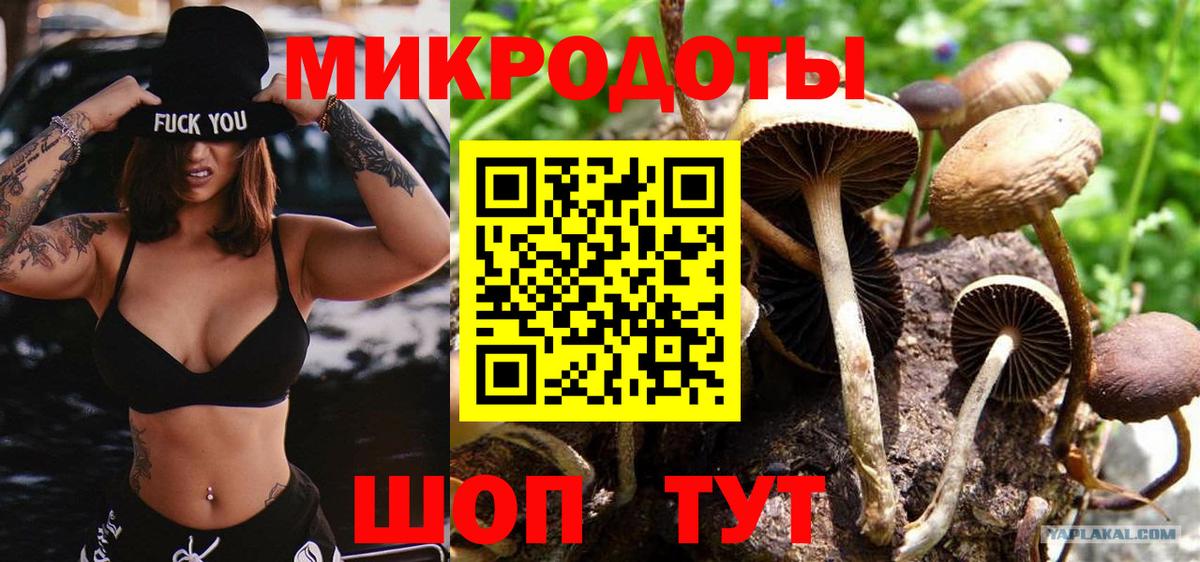 Осинники  Галлюциногенные грибы MAGIC MUSHROOMS  Вход с VPN  Галлюциногенные грибы Psilocybe 