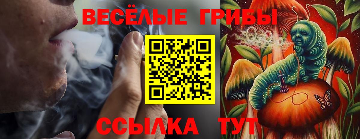 Псилоцибиновые грибы MAGIC MUSHROOMS Осинники